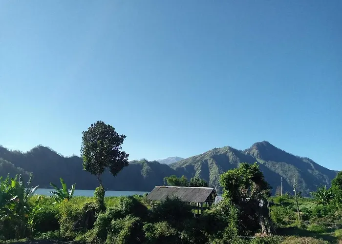 イン Batur *